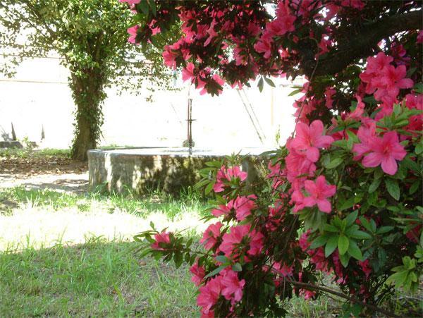 Villa As Casinas Ribadavia Esterno foto